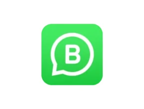 WhatsApp Business APK